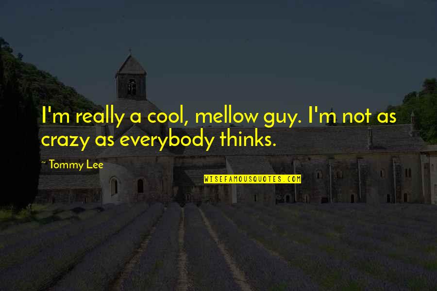 Cool Guy Quotes By Tommy Lee: I'm really a cool, mellow guy. I'm not