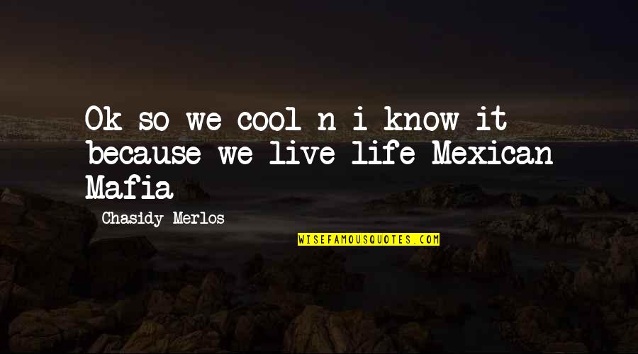 Cool Life Quotes By Chasidy Merlos: Ok so we cool n i know it