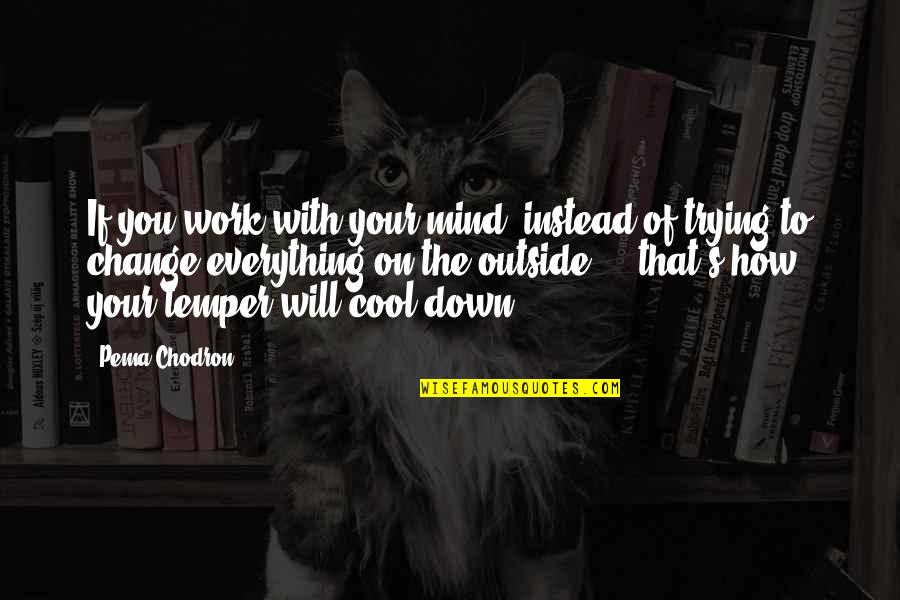 Cool Mind Quotes By Pema Chodron: If you work with your mind, instead of