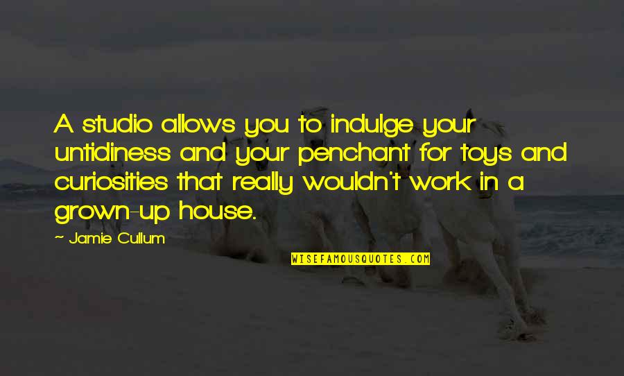 Cool Sadistic Quotes By Jamie Cullum: A studio allows you to indulge your untidiness