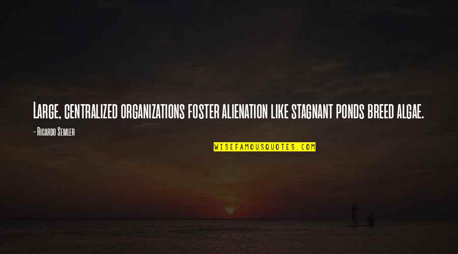 Cool Shisha Quotes By Ricardo Semler: Large, centralized organizations foster alienation like stagnant ponds