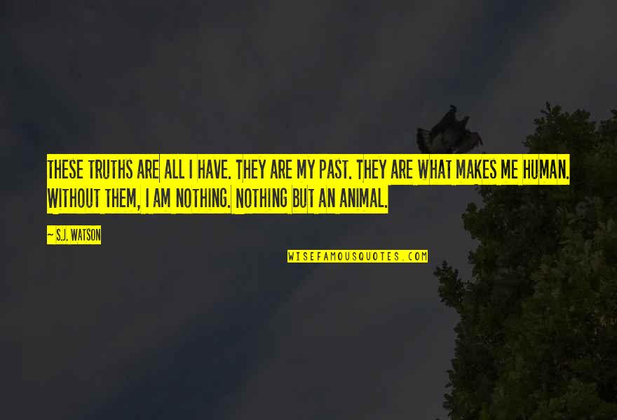 Cool Spanish Quotes By S.J. Watson: these truths are all I have. They are
