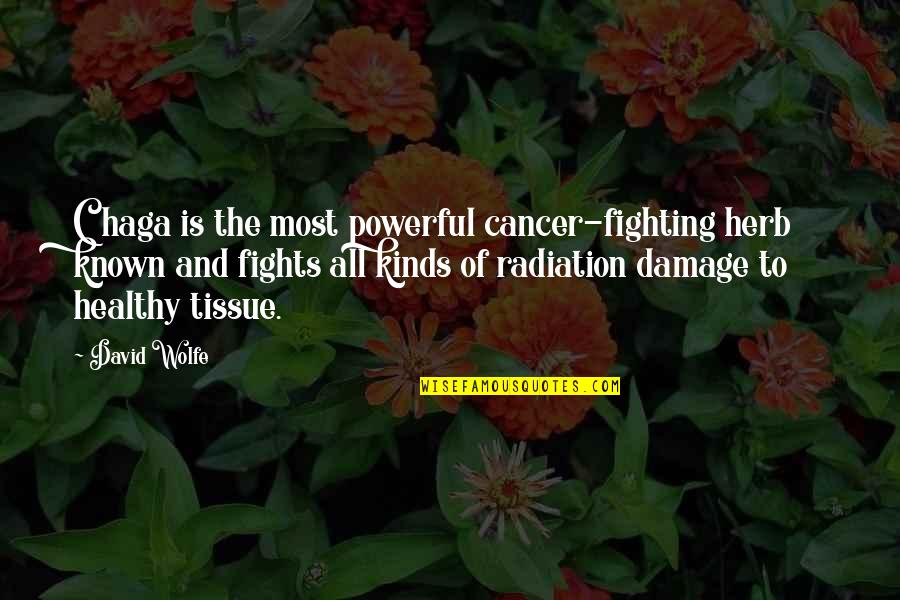 Cool Super Hero Quotes By David Wolfe: Chaga is the most powerful cancer-fighting herb known Cool Super Hero Quotes By David Wolfe: Chaga is the most powerful cancer-fighting herb known