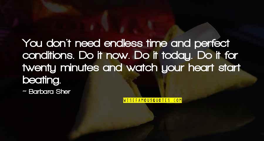 Cool Swimmer Quotes By Barbara Sher: You don't need endless time and perfect conditions. Cool Swimmer Quotes By Barbara Sher: You don't need endless time and perfect conditions.