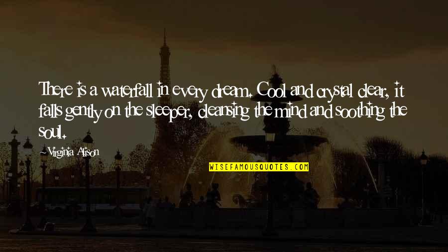 Cool Water Quotes By Virginia Alison: There is a waterfall in every dream. Cool