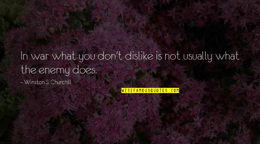 Cooler Than Me Quotes By Winston S. Churchill: In war what you don't dislike is not