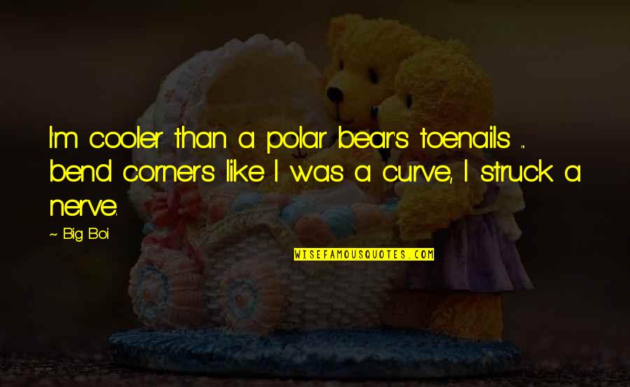 Cooler Than Quotes By Big Boi: I'm cooler than a polar bear's toenails ...
