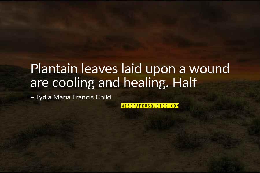 Cooling Off Quotes By Lydia Maria Francis Child: Plantain leaves laid upon a wound are cooling