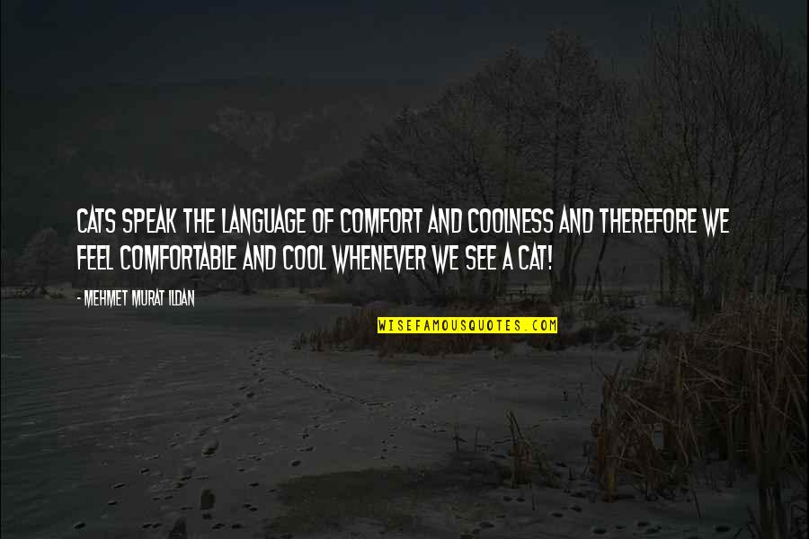 Coolness Quotes By Mehmet Murat Ildan: Cats speak the language of comfort and coolness