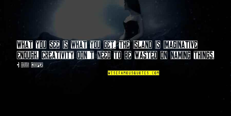 Cooper Doug Quotes By Doug Cooper: What you see is what you get. The Cooper Doug Quotes By Doug Cooper: What you see is what you get. The