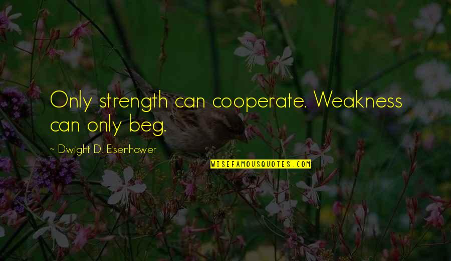 Cooperate Quotes By Dwight D. Eisenhower: Only strength can cooperate. Weakness can only beg.