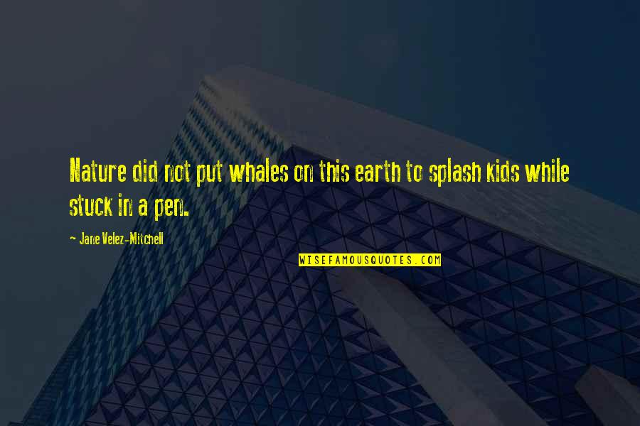 Cooperating Witness Quotes By Jane Velez-Mitchell: Nature did not put whales on this earth Cooperating Witness Quotes By Jane Velez-Mitchell: Nature did not put whales on this earth