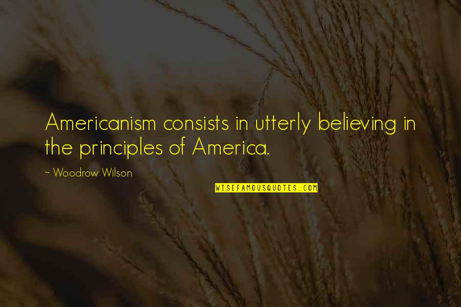 Cooperation In Society Quotes By Woodrow Wilson: Americanism consists in utterly believing in the principles