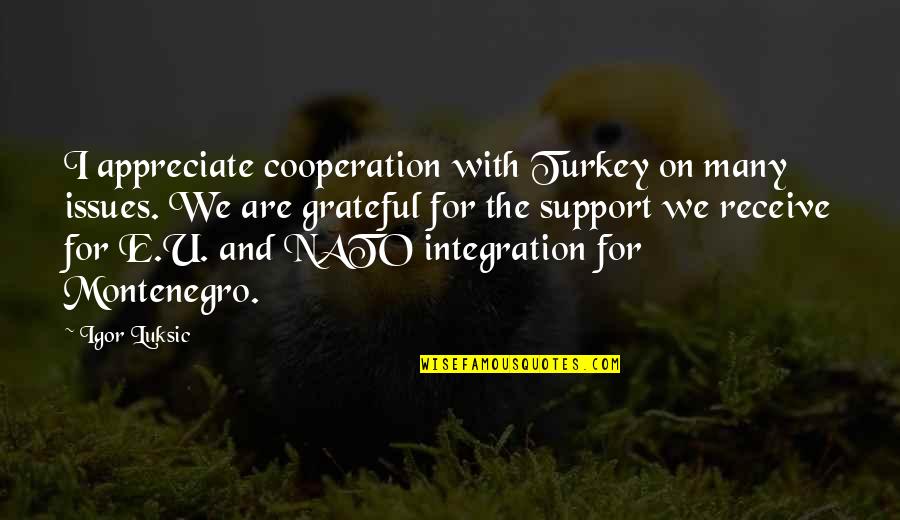 Cooperation Quotes By Igor Luksic: I appreciate cooperation with Turkey on many issues.