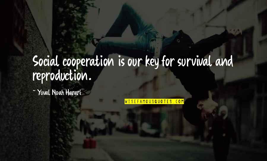 Cooperation Quotes By Yuval Noah Harari: Social cooperation is our key for survival and
