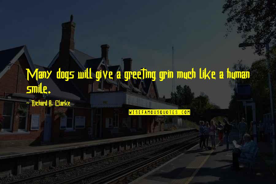 Copaci Desen Quotes By Richard A. Clarke: Many dogs will give a greeting grin much