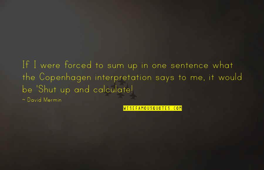 Copenhagen Quotes By David Mermin: If I were forced to sum up in