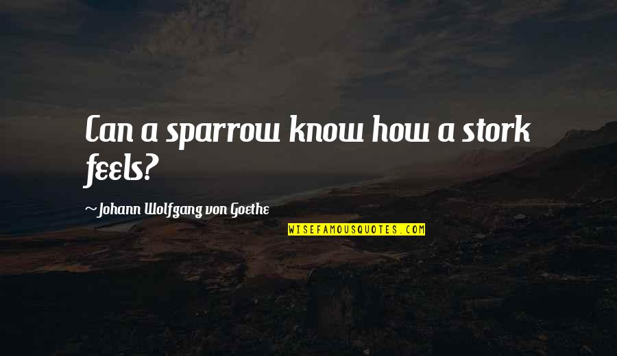 Copenhague Desk Quotes By Johann Wolfgang Von Goethe: Can a sparrow know how a stork feels?