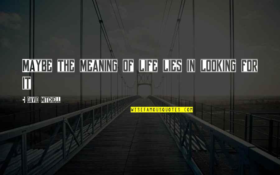 Copertino Quotes By David Mitchell: Maybe the meaning of life lies in looking Copertino Quotes By David Mitchell: Maybe the meaning of life lies in looking