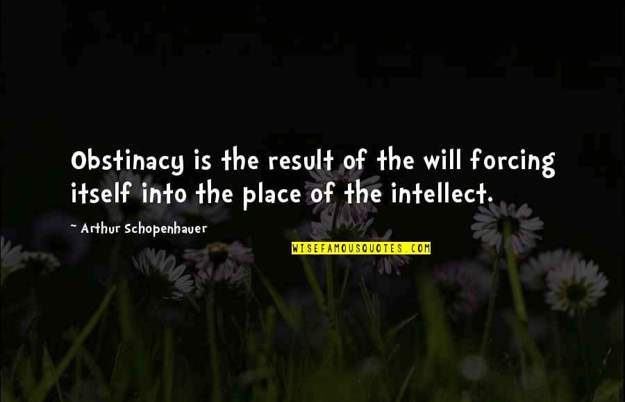 Coping Up With Loss Quotes By Arthur Schopenhauer: Obstinacy is the result of the will forcing