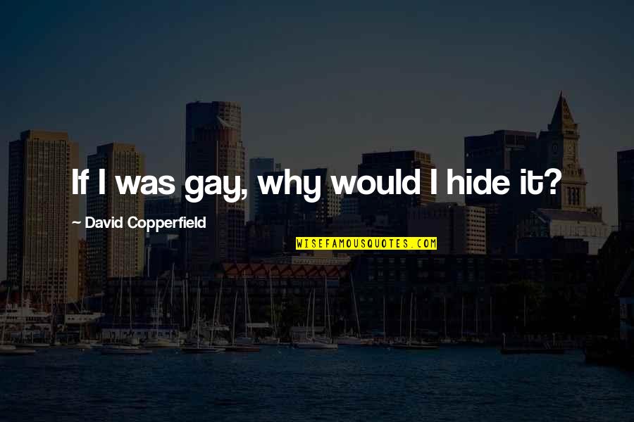 Copperfield Quotes By David Copperfield: If I was gay, why would I hide