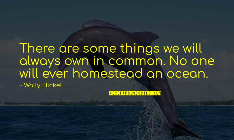 Coptersafe Quotes By Wally Hickel: There are some things we will always own