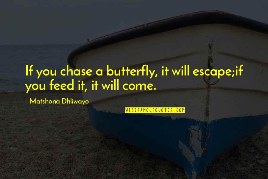 Copulos Quotes By Matshona Dhliwayo: If you chase a butterfly, it will escape;if