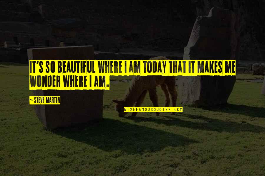 Copy Excel Cell Without Double Quotes By Steve Martin: It's so beautiful where I am today that