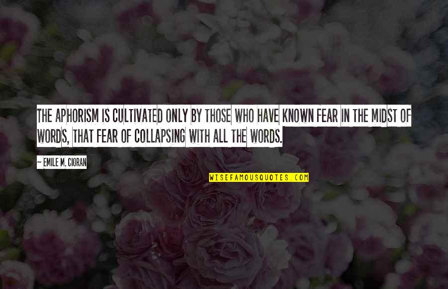 Copybooks For Children Quotes By Emile M. Cioran: The aphorism is cultivated only by those who