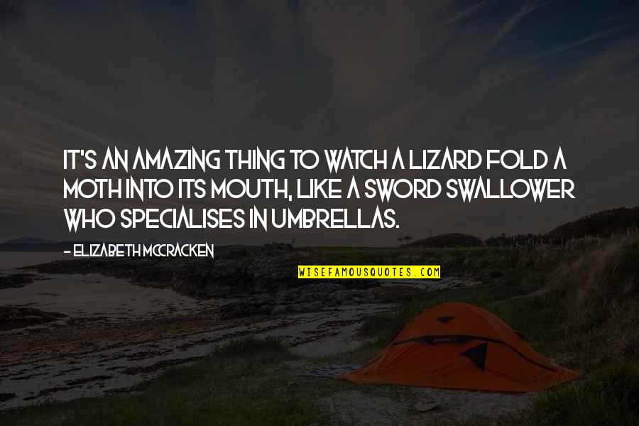 Copying Others Ideas Quotes By Elizabeth McCracken: It's an amazing thing to watch a lizard