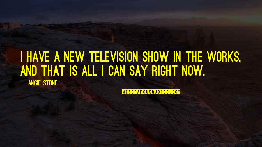 Coracle Ride Quotes By Angie Stone: I have a new television show in the