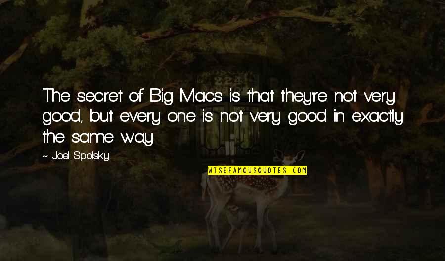 Corbins Hitch Quotes By Joel Spolsky: The secret of Big Macs is that they're