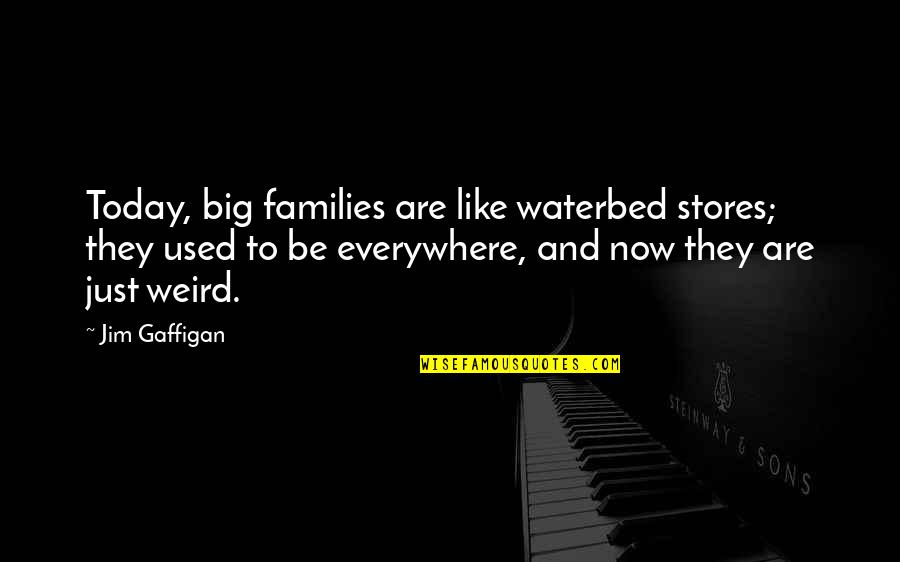 Corbusier Chaise Quotes By Jim Gaffigan: Today, big families are like waterbed stores; they Corbusier Chaise Quotes By Jim Gaffigan: Today, big families are like waterbed stores; they