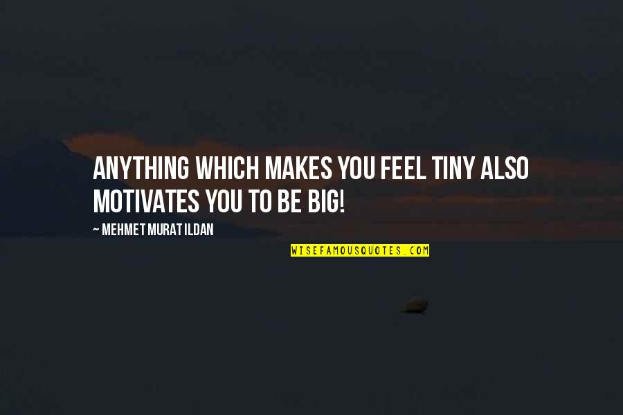 Cordinated Quotes By Mehmet Murat Ildan: Anything which makes you feel tiny also motivates