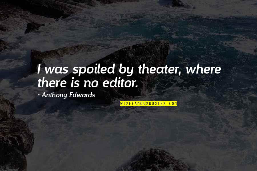 Cordura Definicion Quotes By Anthony Edwards: I was spoiled by theater, where there is Cordura Definicion Quotes By Anthony Edwards: I was spoiled by theater, where there is