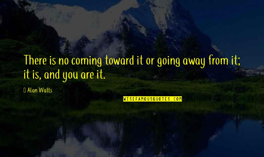 Corehealth Quotes By Alan Watts: There is no coming toward it or going