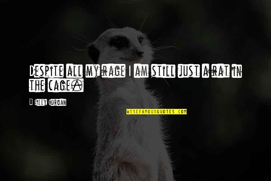 Corgan Quotes By Billy Corgan: Despite all my rage I am still just