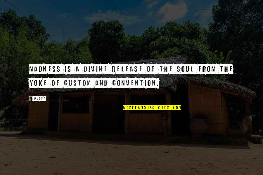Coriam Rebecca Quotes By Plato: Madness is a divine release of the soul