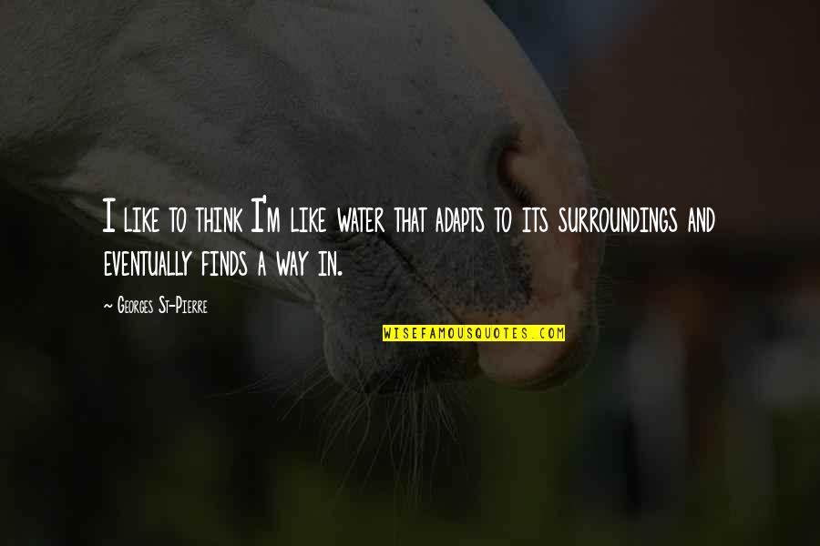Corinne Heline Quotes By Georges St-Pierre: I like to think I'm like water that Corinne Heline Quotes By Georges St-Pierre: I like to think I'm like water that