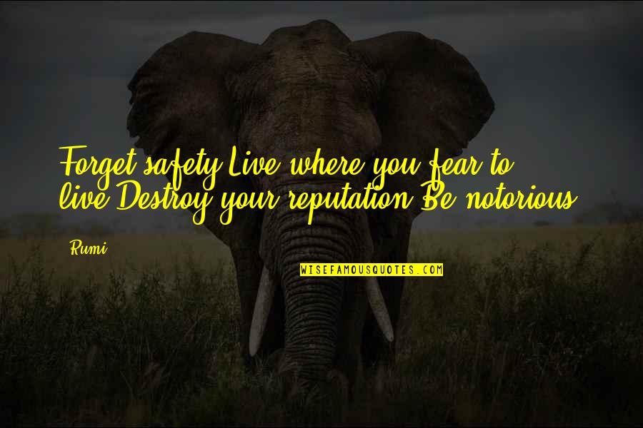 Corkum Gastroenterologist Quotes By Rumi: Forget safety.Live where you fear to live.Destroy your