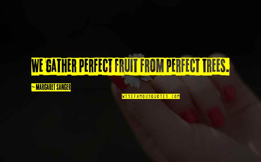 Corkys Quotes By Margaret Sanger: We gather perfect fruit from perfect trees. Corkys Quotes By Margaret Sanger: We gather perfect fruit from perfect trees.
