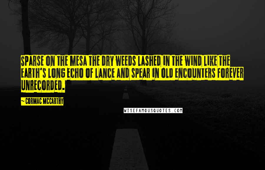 Cormac McCarthy quotes: Sparse on the mesa the dry weeds lashed in the wind like the earth's long echo of lance and spear in old encounters forever unrecorded. Cormac McCarthy quotes: Sparse on the mesa the dry weeds lashed in the wind like the earth's long echo of lance and spear in old encounters forever unrecorded.
