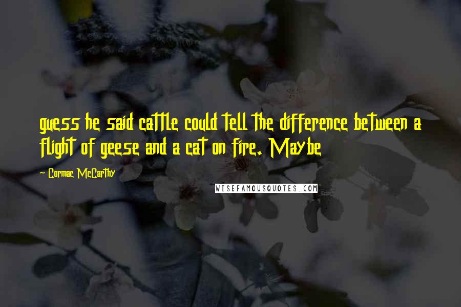Cormac McCarthy quotes: guess he said cattle could tell the difference between a flight of geese and a cat on fire. Maybe