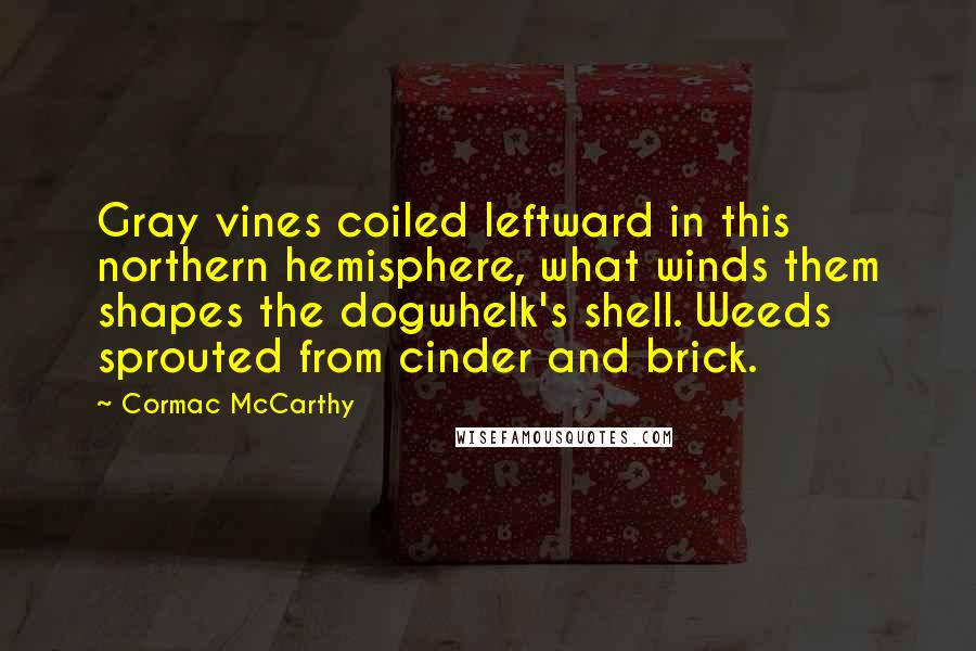 Cormac McCarthy quotes: Gray vines coiled leftward in this northern hemisphere, what winds them shapes the dogwhelk's shell. Weeds sprouted from cinder and brick.