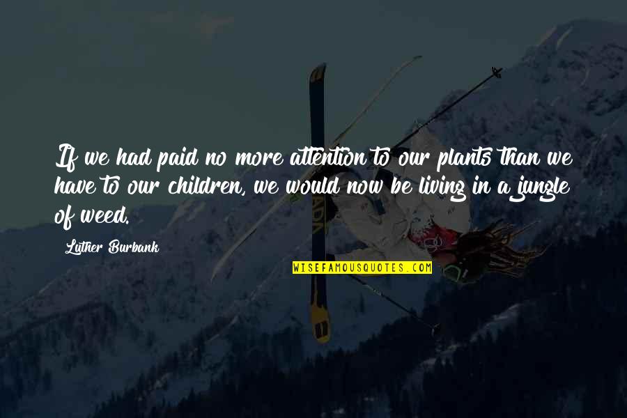 Corman Shepherd Quotes By Luther Burbank: If we had paid no more attention to Corman Shepherd Quotes By Luther Burbank: If we had paid no more attention to