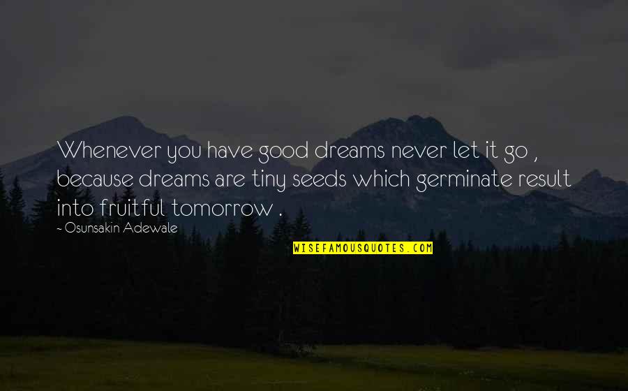 Cormick And Hermione Quotes By Osunsakin Adewale: Whenever you have good dreams never let it