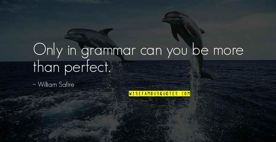 Cormyr Quotes By William Safire: Only in grammar can you be more than