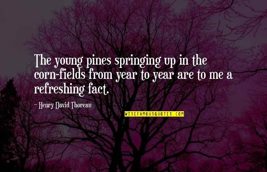 Corn Fields Quotes By Henry David Thoreau: The young pines springing up in the corn-fields
