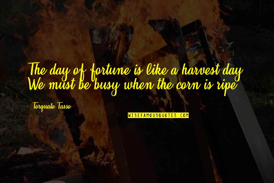 Corn Harvest Quotes By Torquato Tasso: The day of fortune is like a harvest