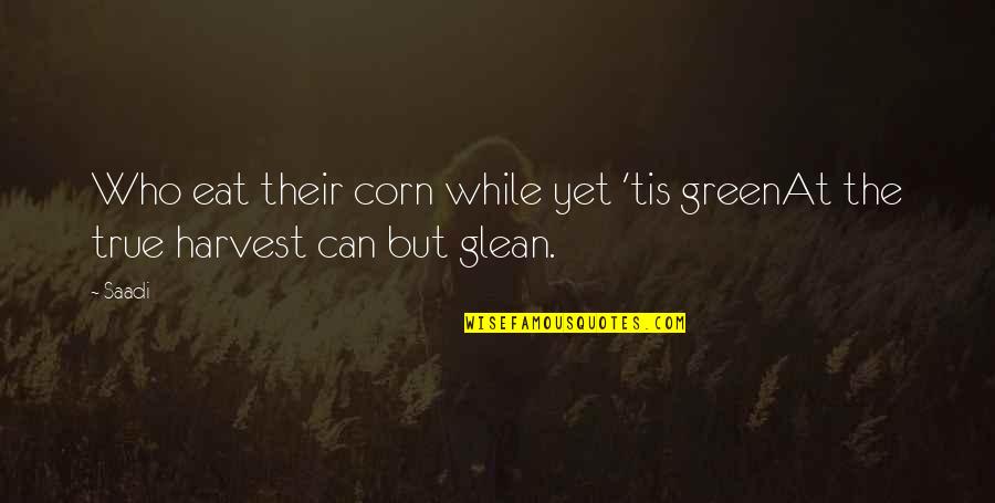 Corn Is Green Quotes By Saadi: Who eat their corn while yet 'tis greenAt